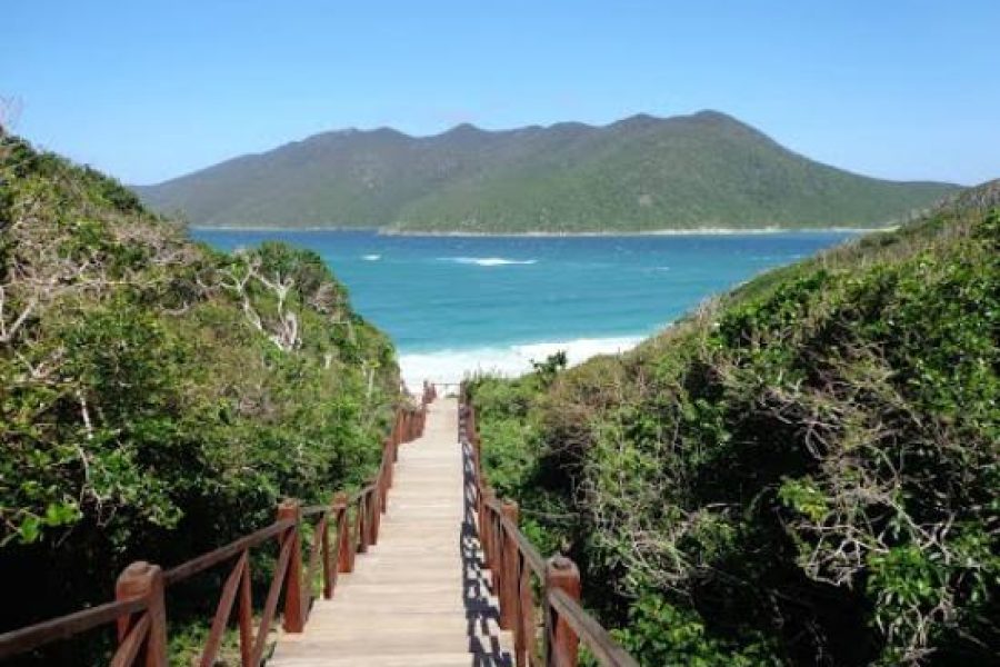 Excursão: Praia do Forte – Cabo Frio 08/01/2025